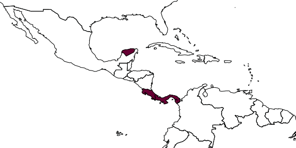 map of Coiba dentatus     Marsh, 1993